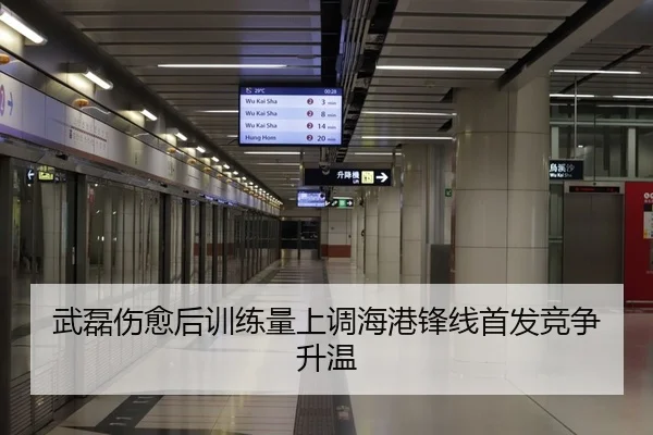 武磊伤愈后训练量上调海港锋线首发竞争升温